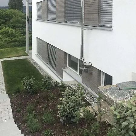 In With Swimming Pool *